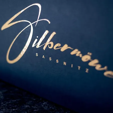 Silbermoewe Apartment Sassnitz